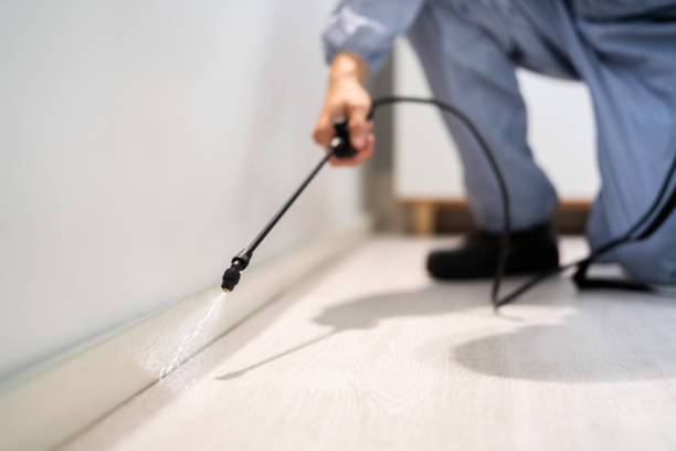 Professional exterminator conducting IPM assessment in Jamestown